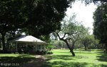 morningside-nimmo-road-mitchell-park-gazebos-s-29-49-531-e-31-00-4
