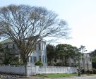 morningside-nimmo-road-no-15-houses-above-mitchell-park-s-29-49-531-e-31-00-633-elev-99m-7