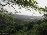 morningside-trematon-drive-burman-views-s-29-49-186-e-31-01-092-elev-89m-3
