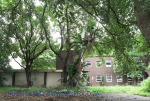 Durban Moth - British Empire Service League (10)