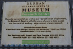 Durban Moth Hall - Natural Science Museum (3).