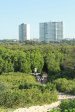 Beachwood Mangrove Nature Reserve -  Beach Entrance (1)