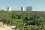 Beachwood Mangrove Nature Reserve -  Beach Views (4)