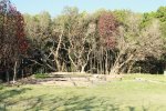 Beachwood Mangrove Nature Reserve -  Burnt Interprative Centre