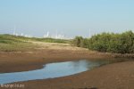 Beachwood Mangrove Nature Reserve -  Tidal Stream (3)