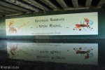 Beachwood Mangroves - Mouth closed - Entrance Graphics (3)