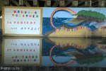 Beachwood Mangroves - Mouth closed - Entrance Graphics (7)