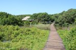 Beachwood Mangroves - Mouth closed - flooded boardwalks (12)