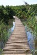 Beachwood Mangroves - Mouth closed - flooded boardwalks (2)