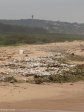 Beachwood Nature Reserve - Trash threatening the mangroves (2)