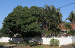 Durban-North-27-Northway6