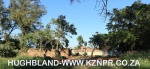 Durban-North-Gun-Battery-20