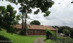 durban-north-haig-road-school-29-46-35-e-31-01-33-elev-96m-2