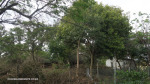 Durban-North-Gun-Battery-anciliary-buildings-15
