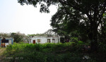 Avoca - 307 Avoca Road (1)