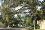 Durban North - Buttery Road (1)