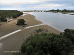 Umgeni Mouth - mangroves and view towards M$ bridge (3)