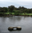 Umgeni Mouth - piers of old road bridge alongside Athlone bridge (2)
