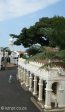 durban-north-soofie-saheb-riverside-mosque-s29-48-22-e-31-02-15