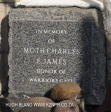 Durban - Warriors Gate Moth Museum NMR Avenue Charles James donor Warriors Gate