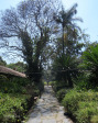 Old-Fort-gardens-1