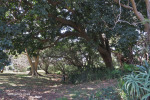 Old-Fort-gardens-3