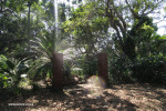 Old-Fort-gardens-4