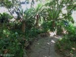 durban-old-fort-gardens-defensive-earthworks-2