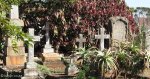 durban-st-thomas-ridge-road-general-grave-scenes-6