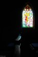 durban-st-thomas-stained-glass-windows-15