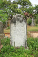 St Thomas Cemetery - Grave - Agnes Atkinson 1890