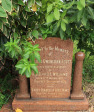 St Thomas Cemetery - Grave - Alicia Acutt Williams 1930