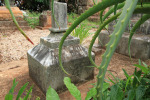 St Thomas Cemetery - Grave - Died September 1888