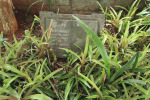 St Thomas Cemetery - Grave -  Henry Davis 1947 & Emily