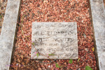 St Thomas Cemetery - Grave -  Jill Elderton (nee Acutt)