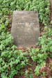 St Thomas Cemetery - Grave -  John Roach - 22 August 1918 in Military Hospital