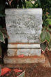 St Thomas Cemetery - Grave -  Mary Isobel Dawber