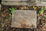 St Thomas Cemetery - Grave - William Earle 1953