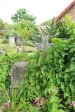 St Thomas Cemetery - Grave - William & Richard Vause