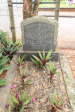St Thomas Cemetery - Graves Agnes & Henry Gurr