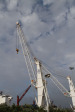 Pont cranes - harbour