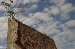 durban-point-gabled-derelict-s29-52-18-e-31-02-33-elev-3m-28