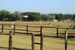 Durban - Kings Park Stables (1)
