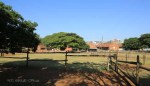 Durban - Kings Park Stables (6)
