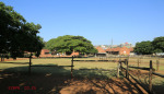 Durban - Kings Park Stables (6)