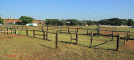 Durban - Kings Park Stables (8)