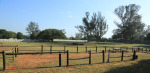 Durban - Kings Park Stables (9)