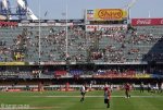 kings-park-sharks-rugby-stands-3