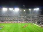 kings-park-sharks-stadium-at-night-5