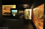 durban-city-hall-art-gallery-and-museum-smith-street-16